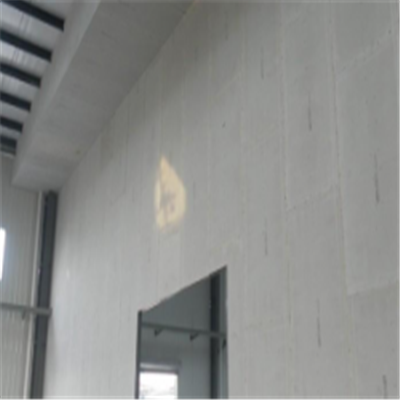龙沙宁波ALC板|EPS加气板隔墙与混凝土整浇联接的实验研讨
